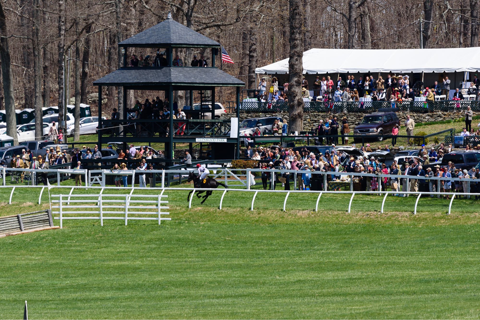 Virginia Fall Races - Saturday, October 12th | Virginia Equine Alliance